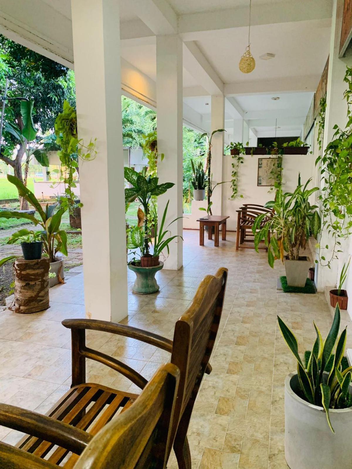 Thisara Guest House بولاناروفاي المظهر الخارجي الصورة